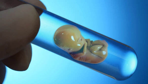 PLOS: Замороженные эмбрионы не ухудшают метаболическое здоровье детей