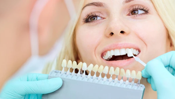 Зубы грызунов помогают создать прочный материал для стоматологии человека