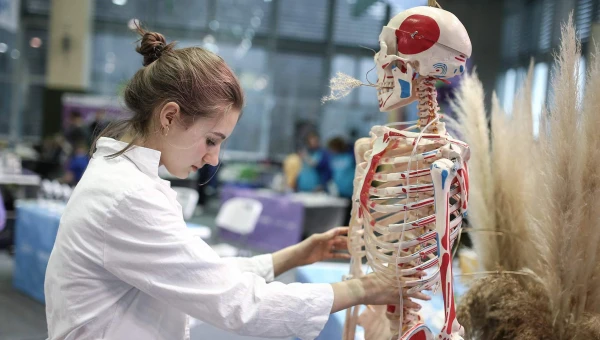 Advanced Materials: Найден способ улучшить методы регенерации костей