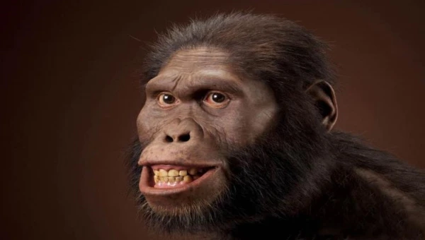 Самая маленькая человекообразная обезьяна жила в Германии 11 млн лет назад