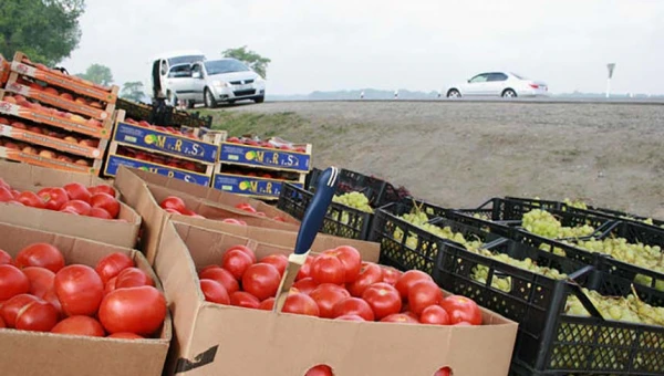 Терапевт Тарадеева: Продающиеся у дороги овощи и фрукты приводят к отравлению