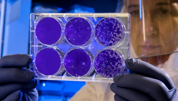 Ученый Болков: Заболеваемость «плотоядными бактериями» вызвана антибиотиками