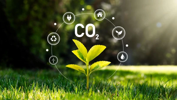 Science: Климатические модели недооценивают растительный углеродный цикл