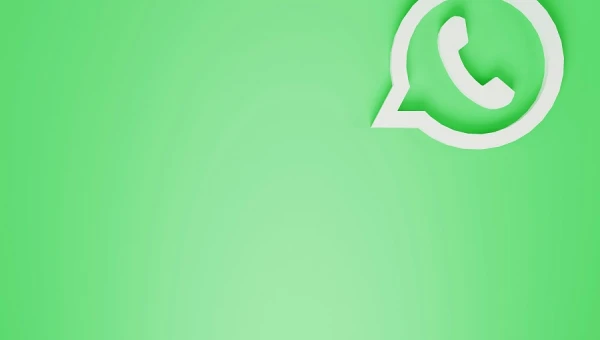 Исследователь Мыск указал на уязвимости WhatsApp*