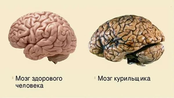 Курение ускоряет старение мозга и разрушает память