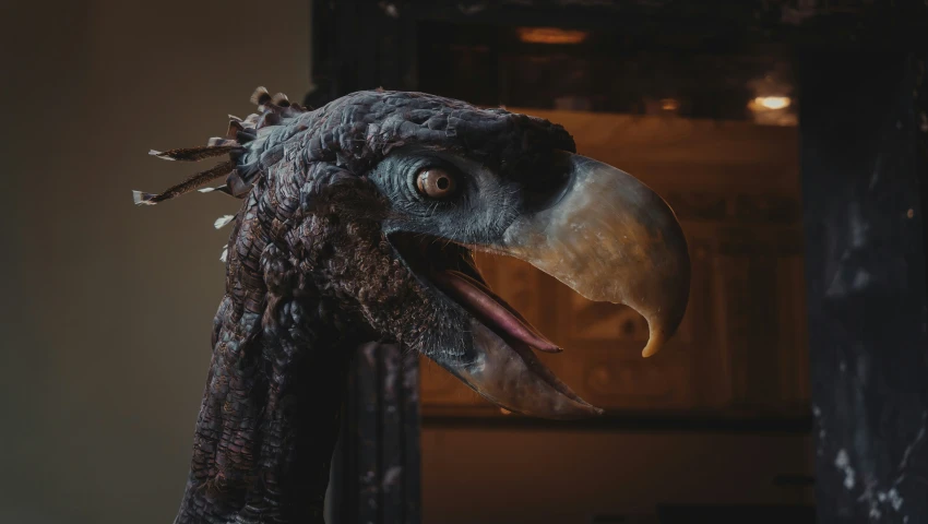 Предок современных птиц имел необычный облик