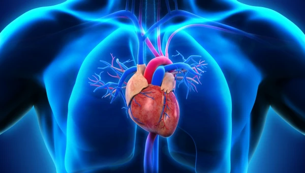 Ученый Кэмпбелл раскрыл 60-летнюю тайну молекулярной структуры сердца